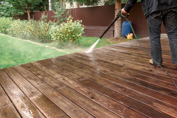 Best Soft Washing  in Penn Valley, CA